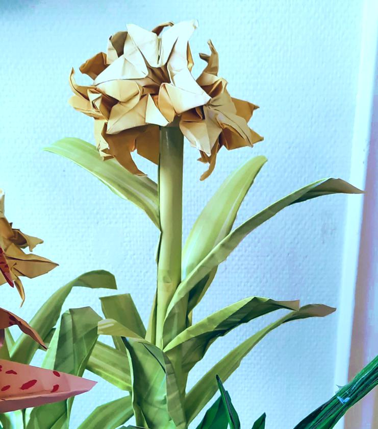 Origami Amaryllis Flower