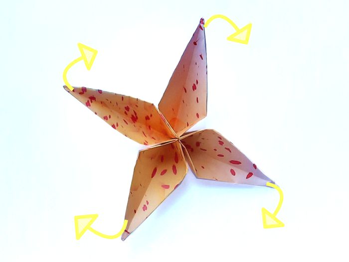 Fold a Shooting Star Flower