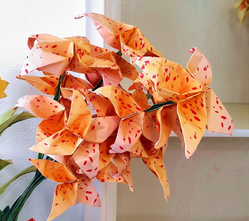 Origami Shooting Star Flowers