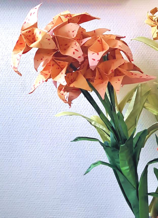 Origami Shooting Star Flowers