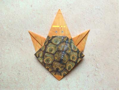 een baby schildpad van papier maken