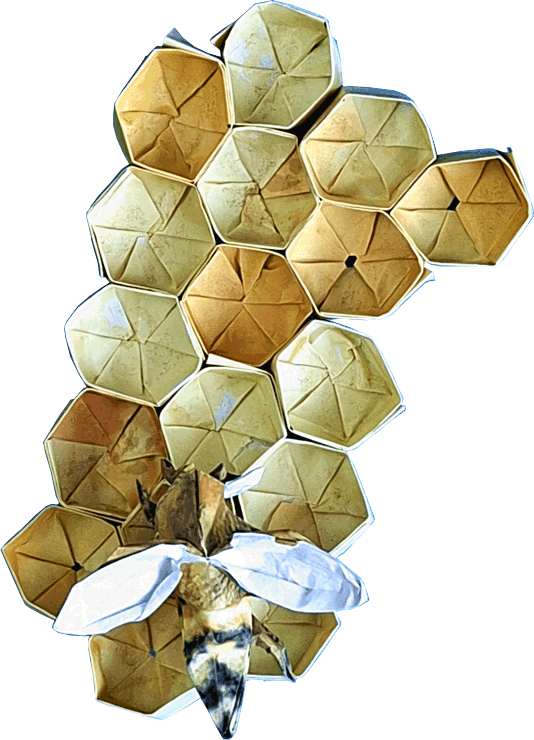 Origami Honingraat