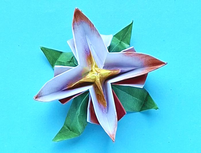 Origami Clematis Flower