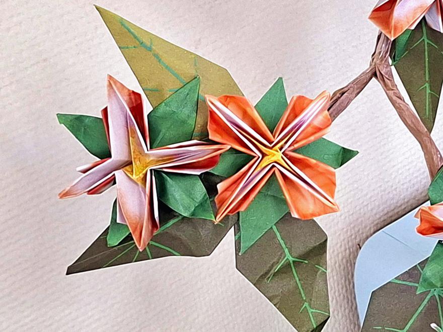 Bonsai Origami Clematis Flowers