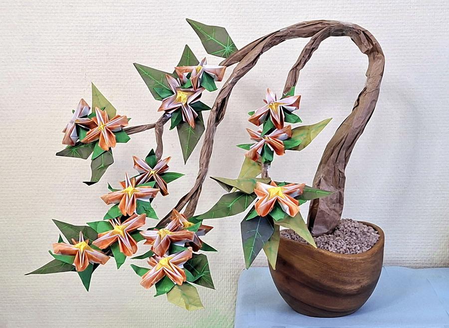 Bonsai Origami Clematis Flower