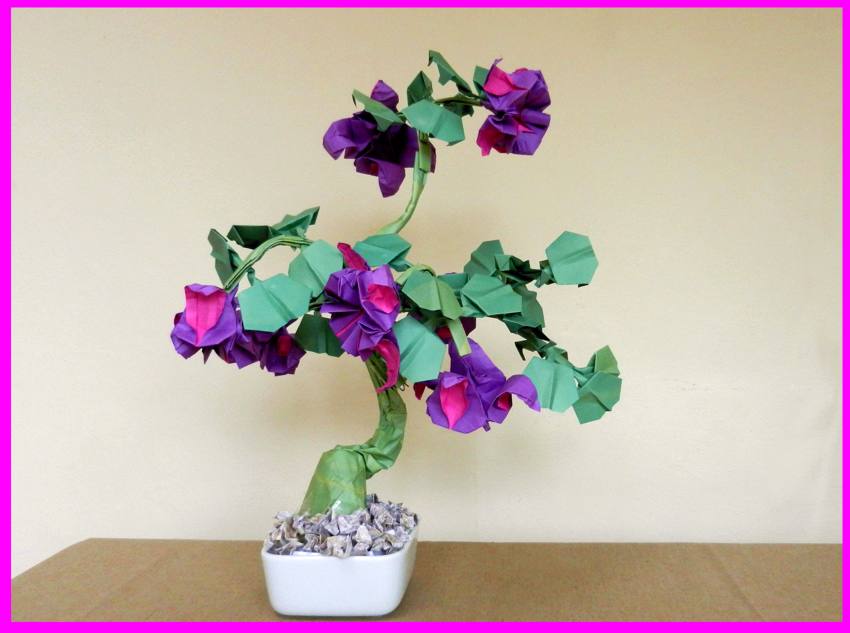 Bonsai Origami Fuchsia