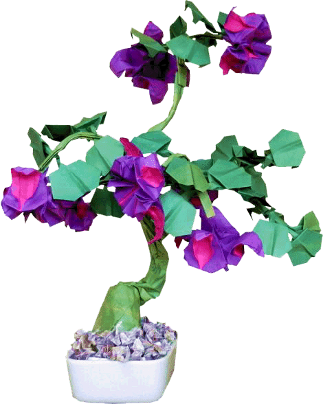 Bonsai Origami Fuchsia Bloem