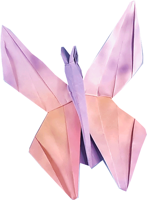 Origami Vlinder