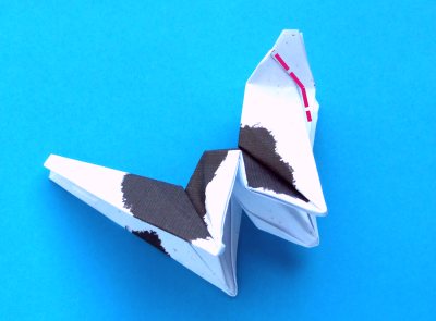 Origami Kat vouwen