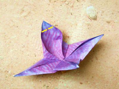 origami clematis