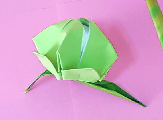 Origami katoenplant