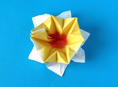 Origami Narcis