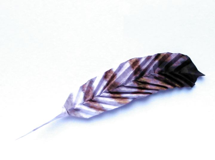 Origami feather