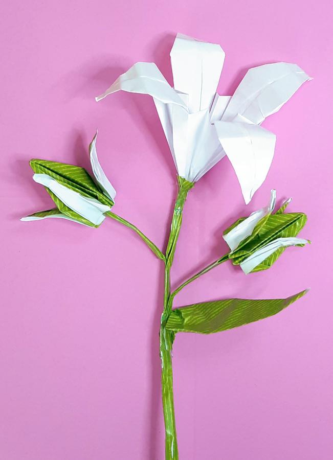 Origami Lily