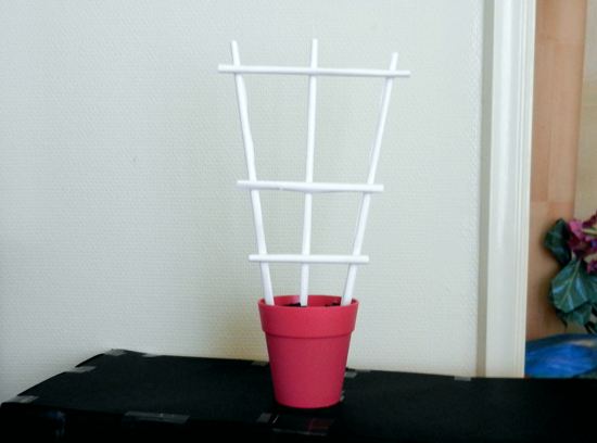 Paper growth rack