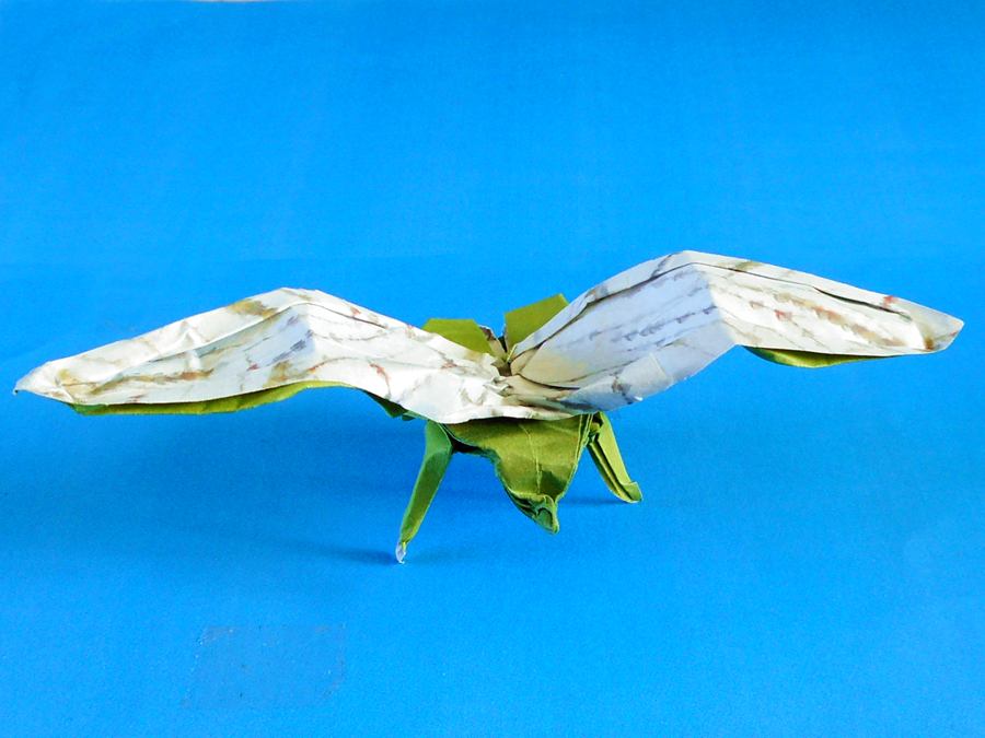 Origami Megaloptera insect