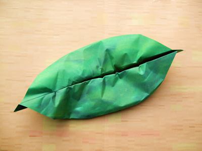 diagrams for a leaf
