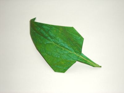 diagrams for an origami leaf