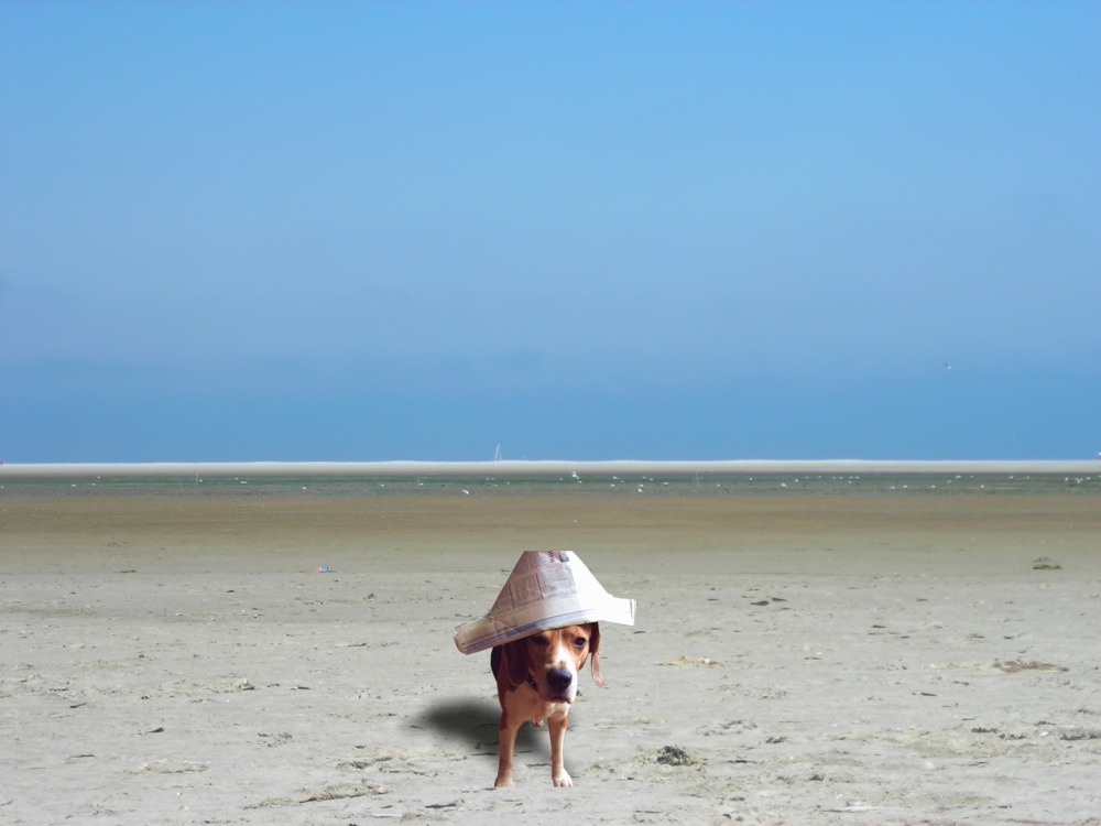 Een hond met een hoedje van papier op het strand