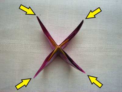 origami flower diagrams