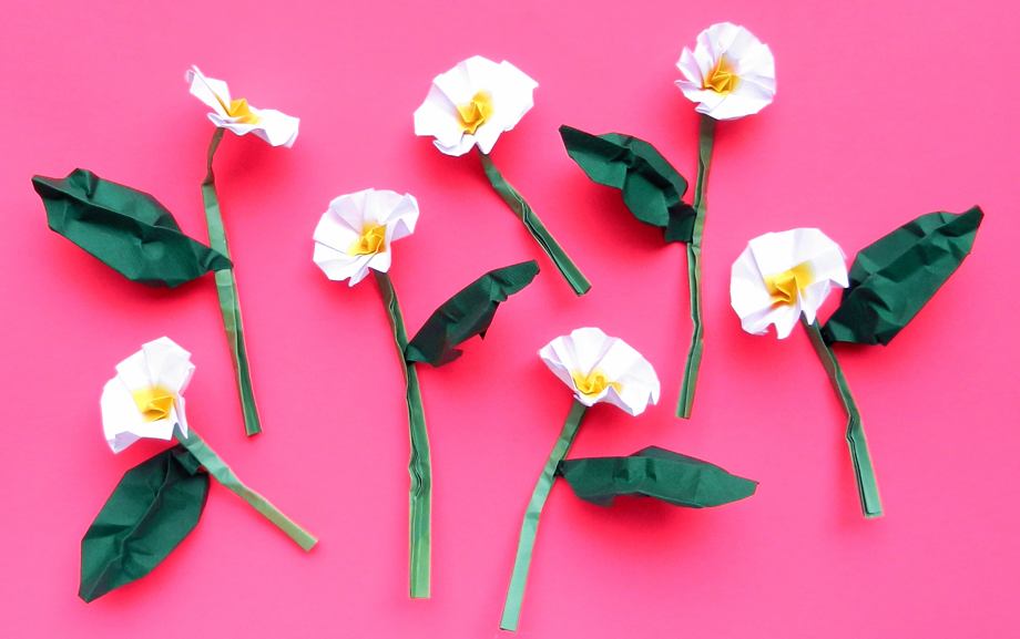 Origami Primroses