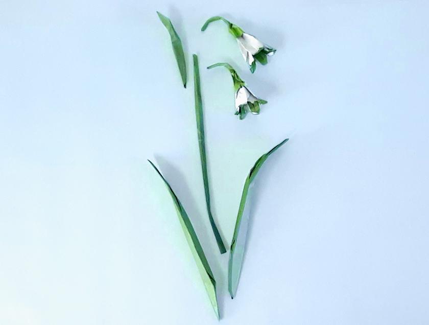 Make paper Snowflake Flowers Make paper Snowflake Flowers