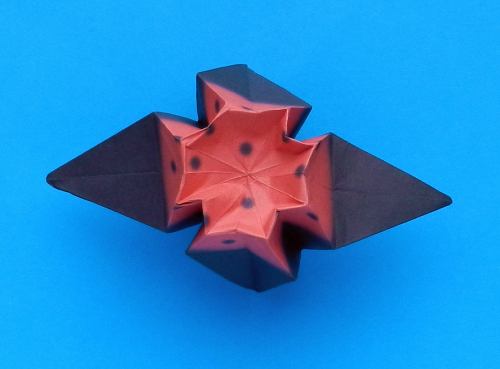 origami spider diagrams