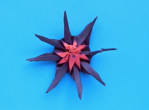 origami spider diagrams