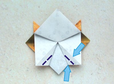 origami turtle diagrams