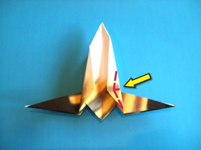 origami wesp