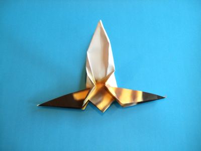 origami wesp