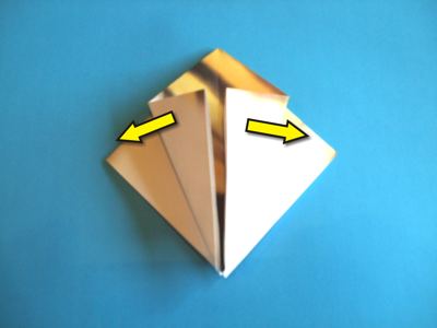 origami wesp