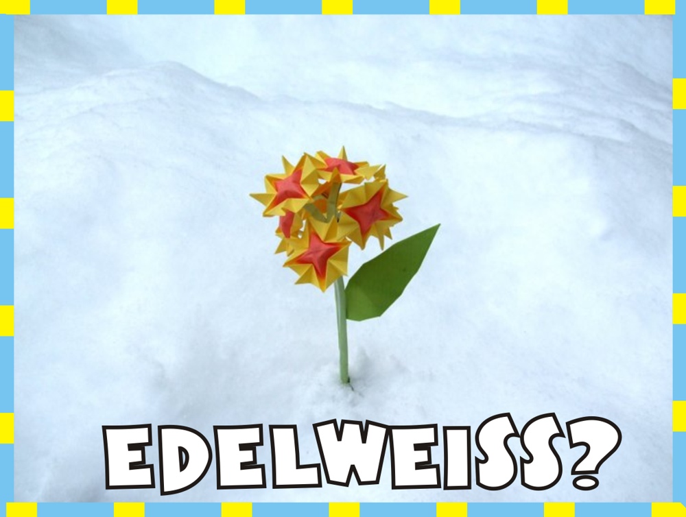 printable card with an origami flower outside in real snow