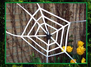 uitprintbaar kaartje met een spin in zijn web