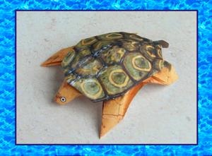 uitprintbaar kaartje met een leuke schildpad erop