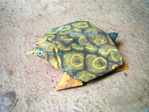 Card with an origami turtle on the beach
