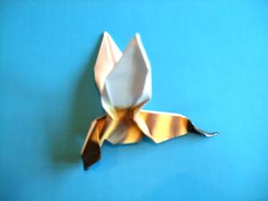 Card with an origami wasp