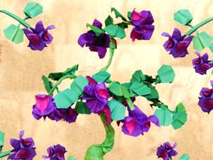 Purple Bonsai Fuchsia flowers