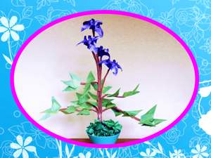 Bloemenkaartje met een Bonsai Iris plant