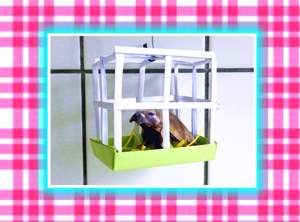 Origami Marmot in a Kirigami pet cage