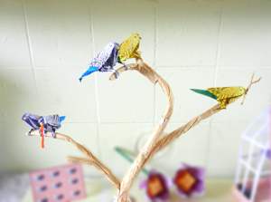 Animal Card with origami Parakeets