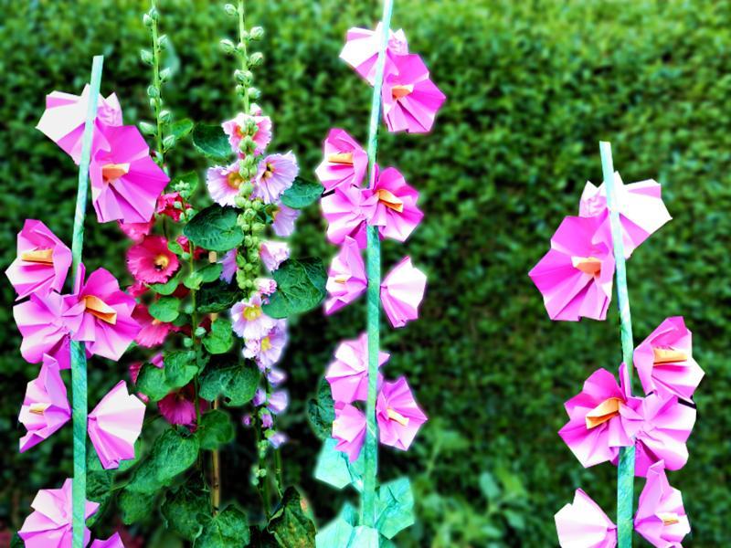 Roze stokrozen in de tuin