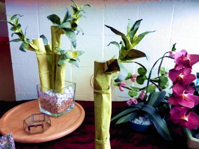 Origami bamboe planten