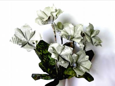 Origami newspaper flowers