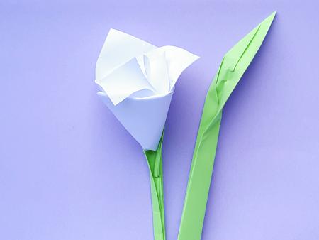 Origami Bloem Origami Bloem
