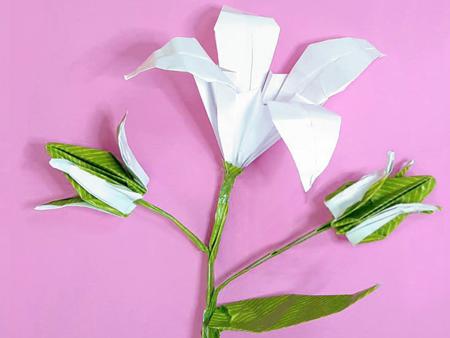 Origami Lelie Origami Lelie