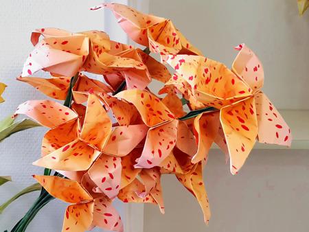 Origami Vallende Ster Bloemen Origami Vallende Ster Bloemen