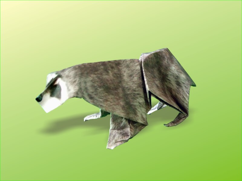 Origami wasbeer