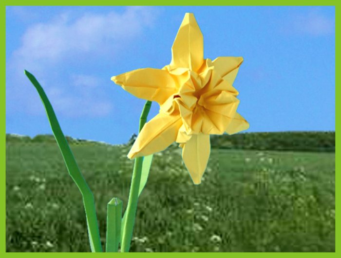 origami narcis