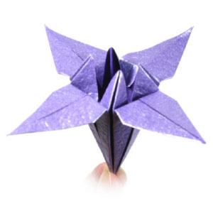 mechanical iris origami